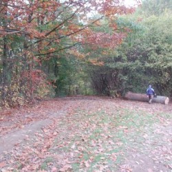 DSC 0558 - Sportraad Zaventem 